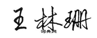 駱恆光王林珊行書個性簽名怎么寫