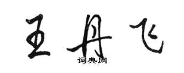 駱恆光王丹飛行書個性簽名怎么寫