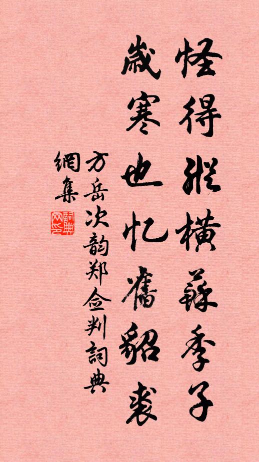 修竹萬午人獨立，我來搔首菊花期 詩詞名句