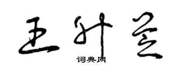 曾慶福王升芝草書個性簽名怎么寫