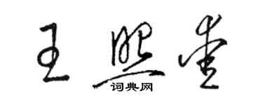 駱恆光王照愛草書個性簽名怎么寫