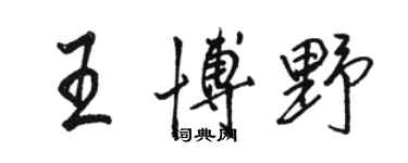 駱恆光王博野行書個性簽名怎么寫