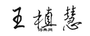 駱恆光王植慧行書個性簽名怎么寫