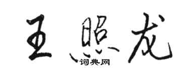 駱恆光王照龍行書個性簽名怎么寫