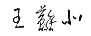 駱恆光王蘇北草書個性簽名怎么寫