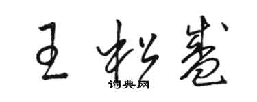 駱恆光王松盛草書個性簽名怎么寫