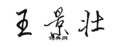 駱恆光王景壯行書個性簽名怎么寫