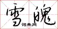 錢沛雲雪魄行書怎么寫