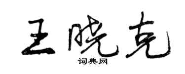 曾慶福王曉克行書個性簽名怎么寫