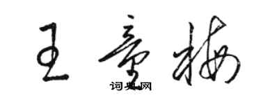 駱恆光王童梅草書個性簽名怎么寫