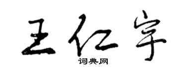 曾慶福王仁宇行書個性簽名怎么寫