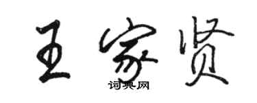 駱恆光王家賢行書個性簽名怎么寫