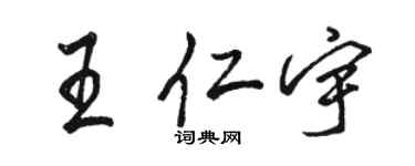 駱恆光王仁宇行書個性簽名怎么寫