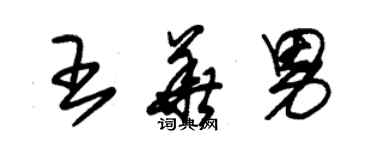 朱錫榮王華男草書個性簽名怎么寫