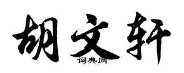 胡問遂胡文軒行書個性簽名怎么寫