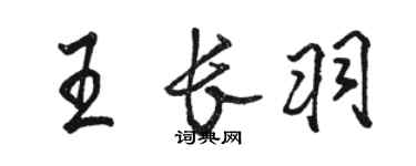 駱恆光王長羽行書個性簽名怎么寫