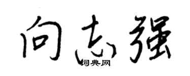 王正良向志強行書個性簽名怎么寫