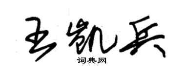 朱錫榮王凱兵草書個性簽名怎么寫