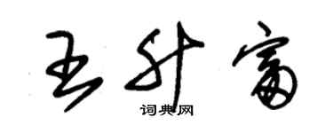 朱錫榮王升富草書個性簽名怎么寫