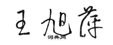 駱恆光王旭萍草書個性簽名怎么寫