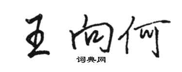 駱恆光王向何行書個性簽名怎么寫