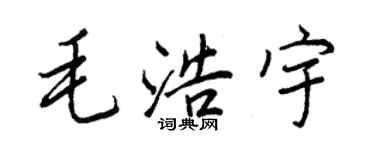 王正良毛浩宇行書個性簽名怎么寫