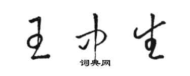 駱恆光王中生草書個性簽名怎么寫