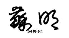 朱錫榮蘇明草書個性簽名怎么寫