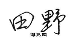 駱恆光田野行書個性簽名怎么寫