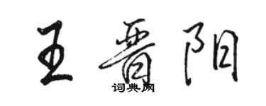 駱恆光王晉陽行書個性簽名怎么寫