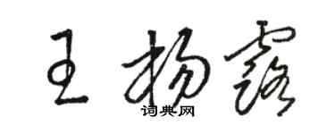 駱恆光王楊露草書個性簽名怎么寫
