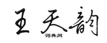 駱恆光王天韻行書個性簽名怎么寫