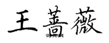 丁謙王薔薇楷書個性簽名怎么寫