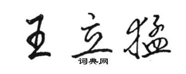 駱恆光王立猛行書個性簽名怎么寫