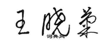 駱恆光王曉菊草書個性簽名怎么寫