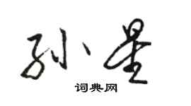 駱恆光孫星行書個性簽名怎么寫