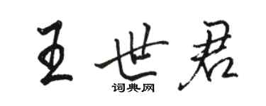 駱恆光王世君行書個性簽名怎么寫