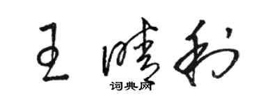 駱恆光王晴利草書個性簽名怎么寫