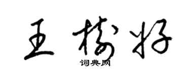 梁錦英王樹好草書個性簽名怎么寫