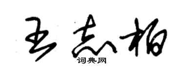 朱錫榮王志柏草書個性簽名怎么寫