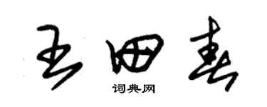 朱錫榮王田春草書個性簽名怎么寫