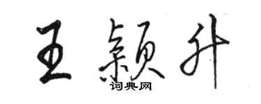 駱恆光王穎升行書個性簽名怎么寫