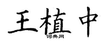 丁謙王植中楷書個性簽名怎么寫