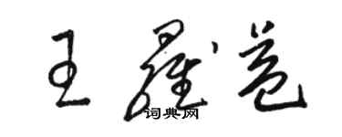 駱恆光王羅益草書個性簽名怎么寫