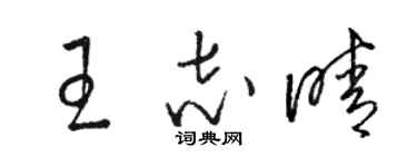 駱恆光王志晴草書個性簽名怎么寫