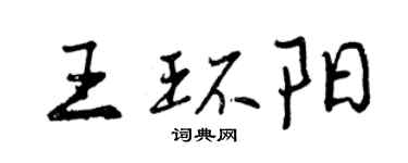 曾慶福王環陽行書個性簽名怎么寫