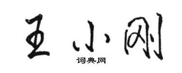 駱恆光王小剛行書個性簽名怎么寫