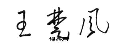 駱恆光王楚風草書個性簽名怎么寫