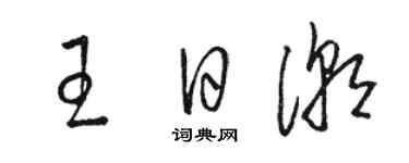 駱恆光王日潮草書個性簽名怎么寫