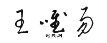 駱恆光王唯易草書個性簽名怎么寫